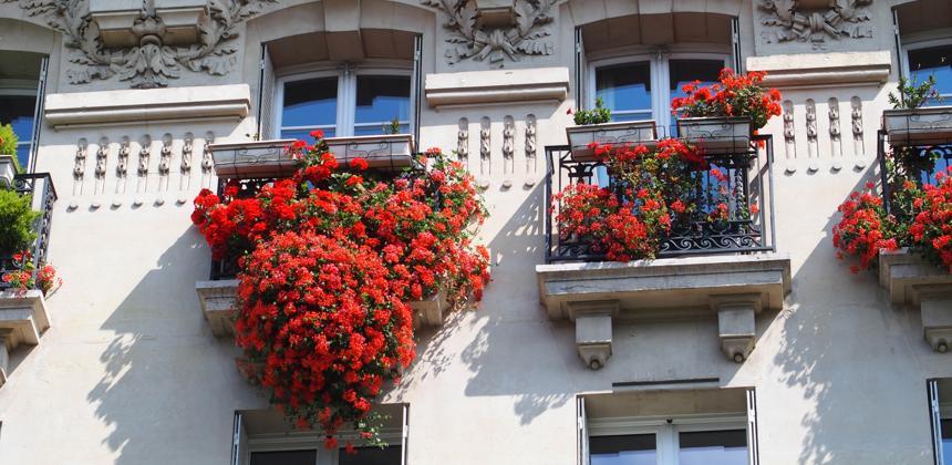 Copropriété : peut-on librement mettre des jardinières à ses fenêtres ?