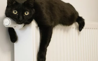 Passoire thermique à Paris : vendre, rénover ou déléguer la gestion locative ?